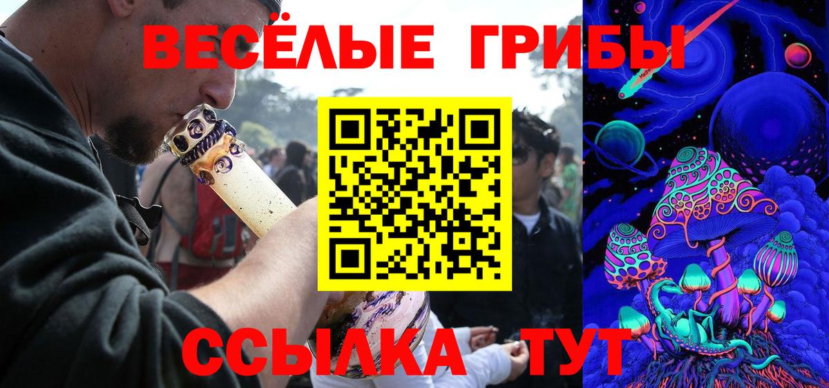 Галлюциногенные грибы Psilocybine cubensis  Вход с VPN  Волгоград 